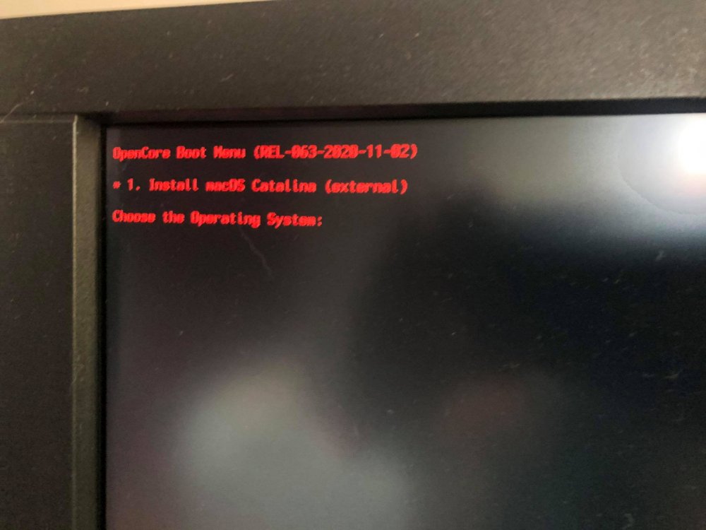 125810247_367026461253576_5119018051407009885_n.jpg