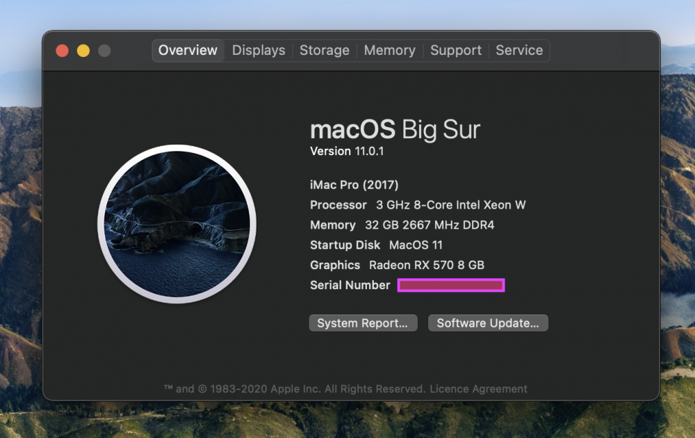 Screenshot 2020-11-13 at 11.05.02.png