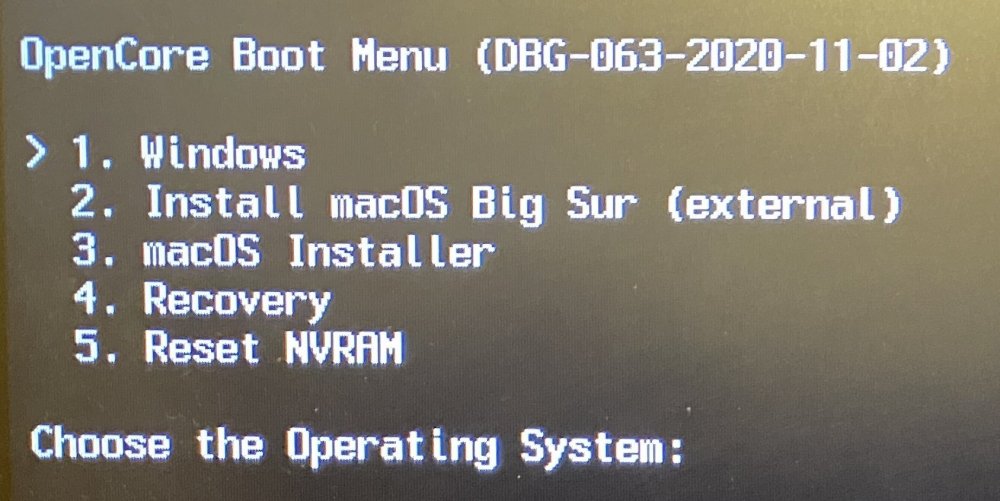 OC_Boot.thumb.jpg.fdbbdc42dbbc314c349451907fc5d3a6.jpg