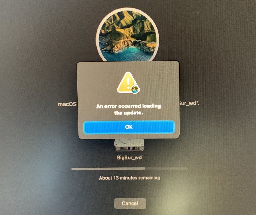 bigsur_fail_installation.JPG
