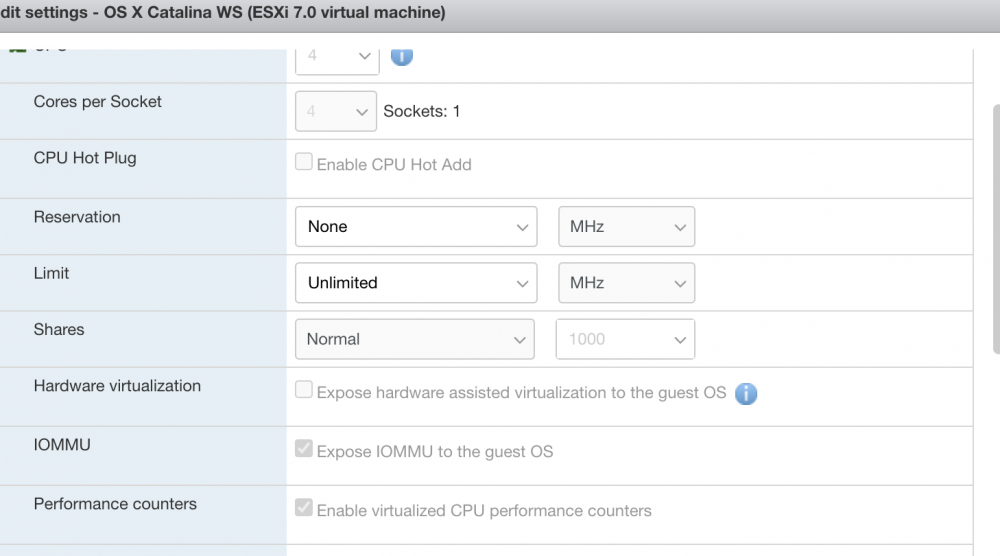 localhost.ashlab.dev - VMware ESXi 2021-01-17 02-50-24.png