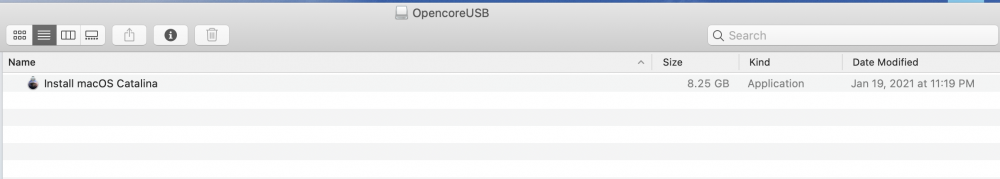 Opencore partition.png