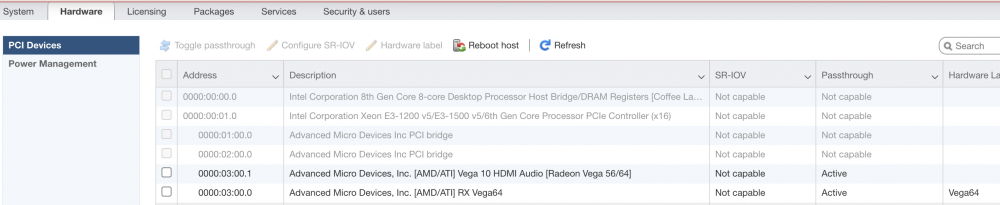 localhost.ashlab.dev - VMware ESXi 2021-01-17 02-52-06.png