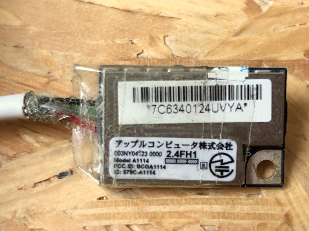 IMG_2240.jpeg