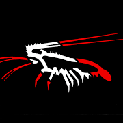 flsdiver