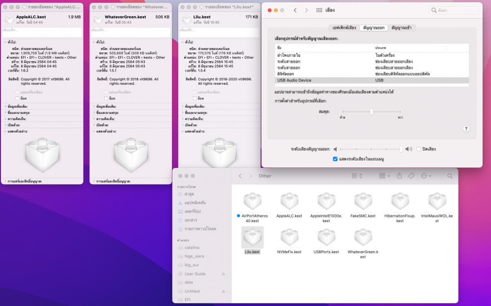 ภาพถ่ายหน้าจอ 2564-06-08 เวลา 16.47.28.png