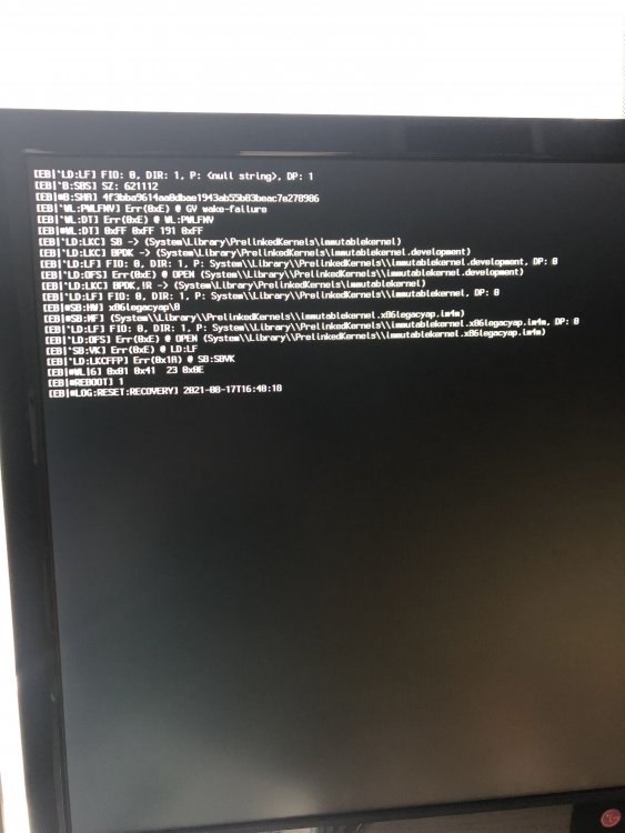 20210817_144819836_iOS.jpg