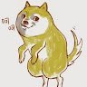 miko R