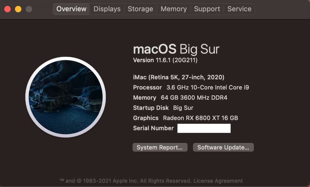 Big Sur 11.6.1 (20G211).png