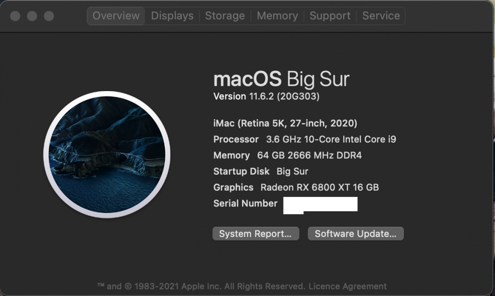 Big Sur 11.6.2.png
