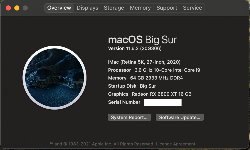 Big Sur 11.6.2 RC2 20G306.png