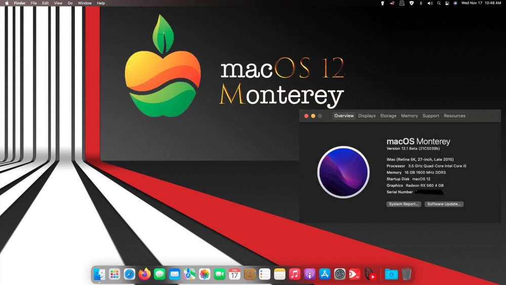 Screen Shot 2021-11-17 at 10.48.42 AM copy.jpg