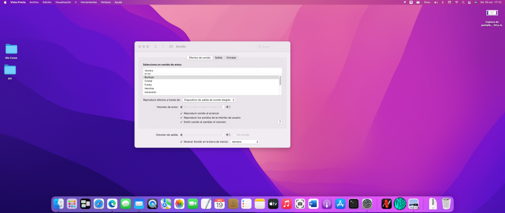 Captura de pantalla 2021-11-19 a las 17.12.56 p. m..png