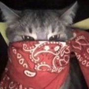 stinkyskunk