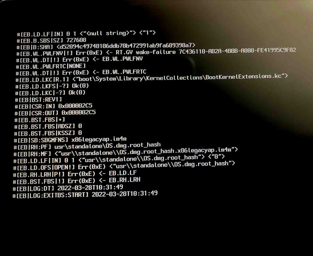 OpenCore not boot from NVMe, only whit USB.jpeg