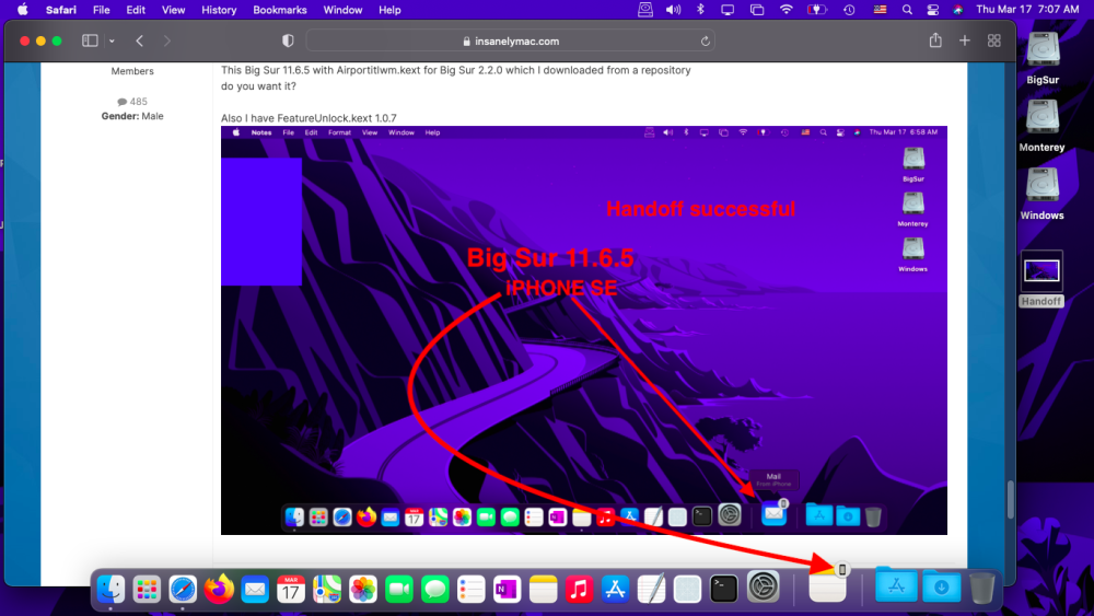 Screen Shot 2022-03-17 at 7.07.32 AM.png