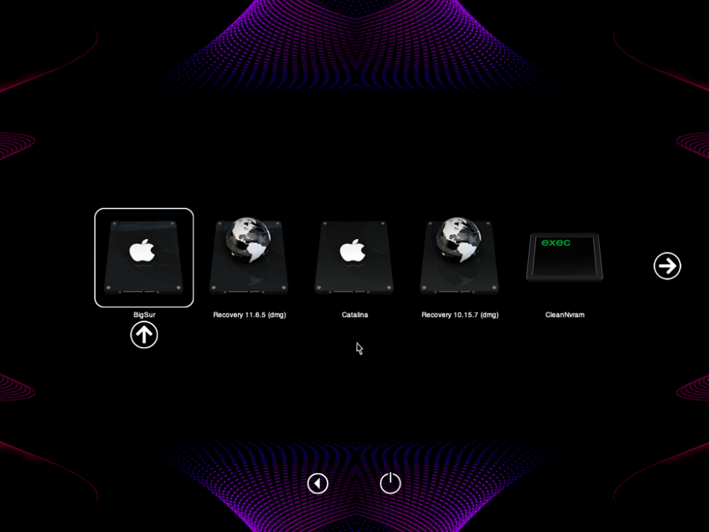 11012552 copy.png
