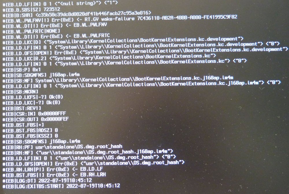 P1010475.jpg