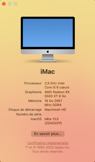 macos_13_beta_6_build_22A5331f.png