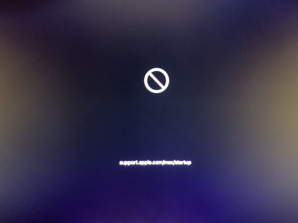IMG_0162.thumb.jpeg.1f15b9ae3c8050f21fc8cfd7c68f4d37.jpeg