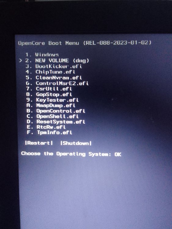 16727721711656289910466962265065.jpg