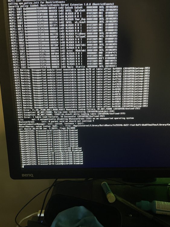 IMG_0356.thumb.jpeg.c30883f99a4b26b6359f2d32551382f7.jpeg
