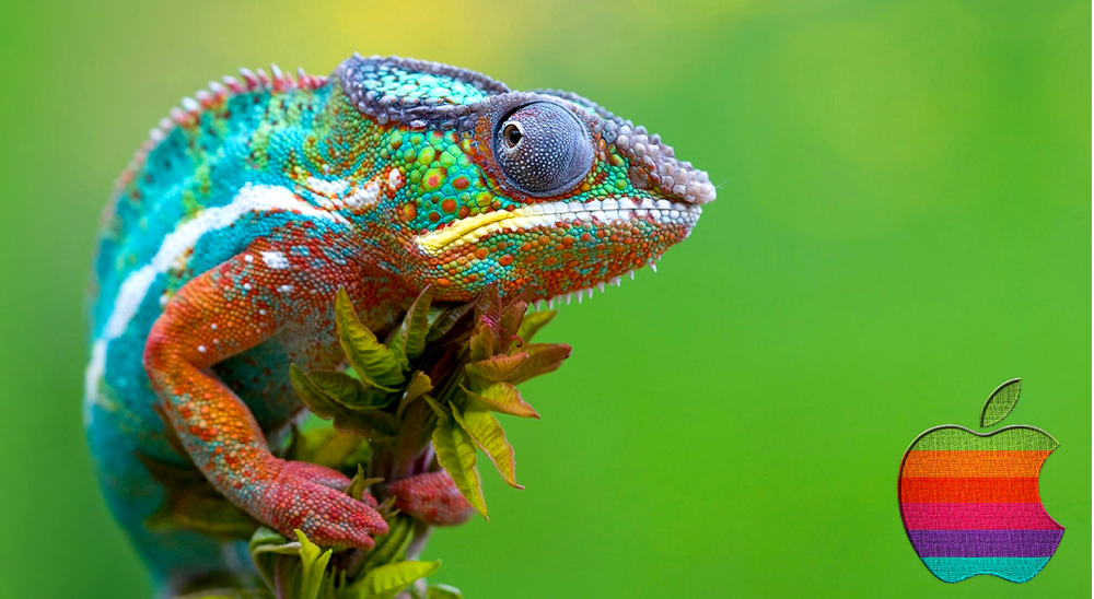 chameleon_apple_wallpaper_by_j_farhat.png