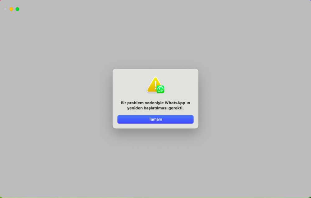 Ekran Resmi 2023-08-13 03.34.23.png