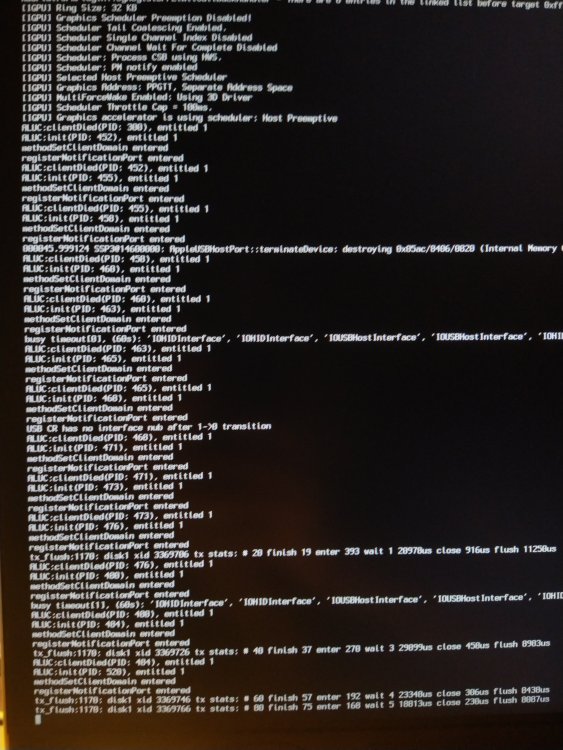 boot_verbose.output.jpg