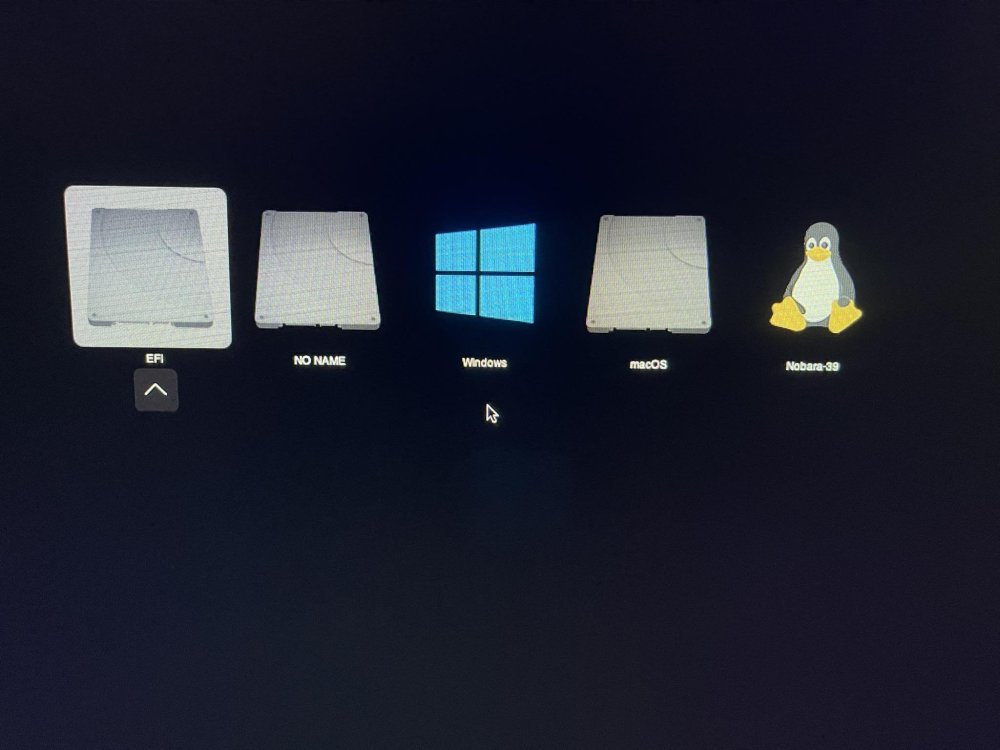 442493851_2338814649845153_2855934643284534426_n.jpg