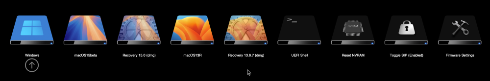 NewDisk.thumb.png.42985edbbbed27734672c21931cb9de5.png
