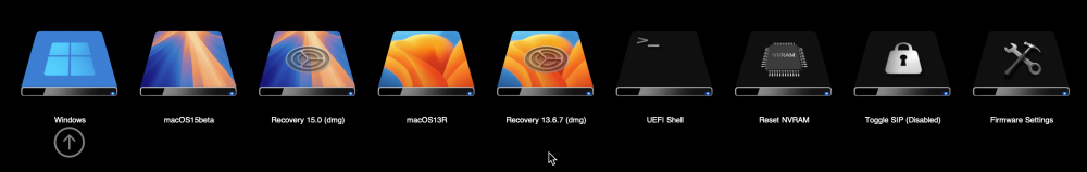 NewDisk.thumb.png.eecc5c9ea86d69c947597b026fc216d4.png