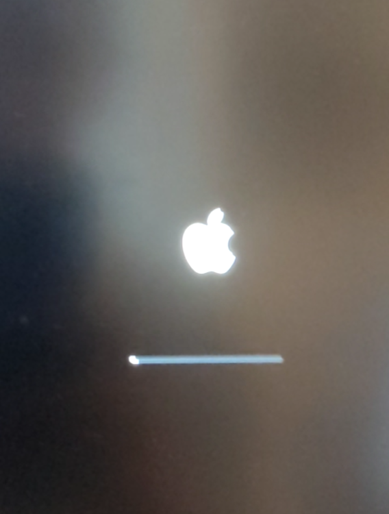 Screenshot_20240815-134954~2.png