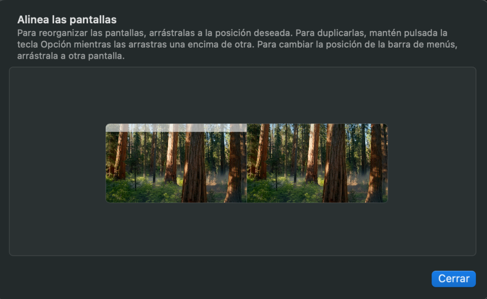 Captura de pantalla 2025-06-20 a las 8.26.50 p. m..png