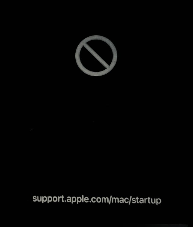 IMG_9343.thumb.jpeg.8213c791db68d2592a9b0c196fbd7af3.jpeg