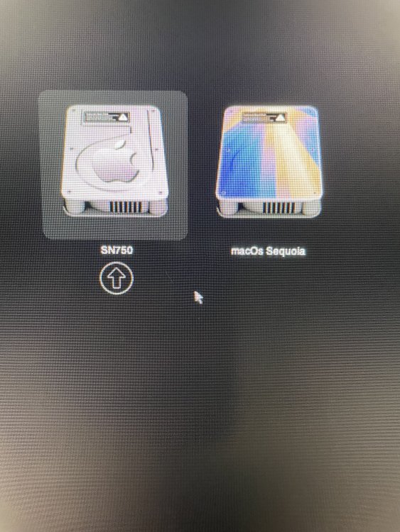 image.thumb.jpeg.b8850e5e0dbe9461f6a37a8da5d131b7.jpeg