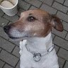 rockie008