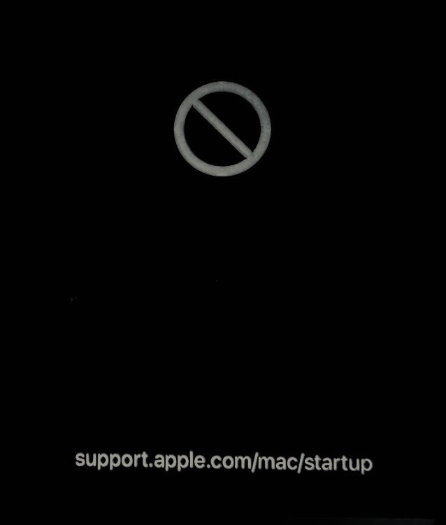 IMG_0018.jpeg.90db6d8bfbd7764a71e8ef5909fefbac.jpeg