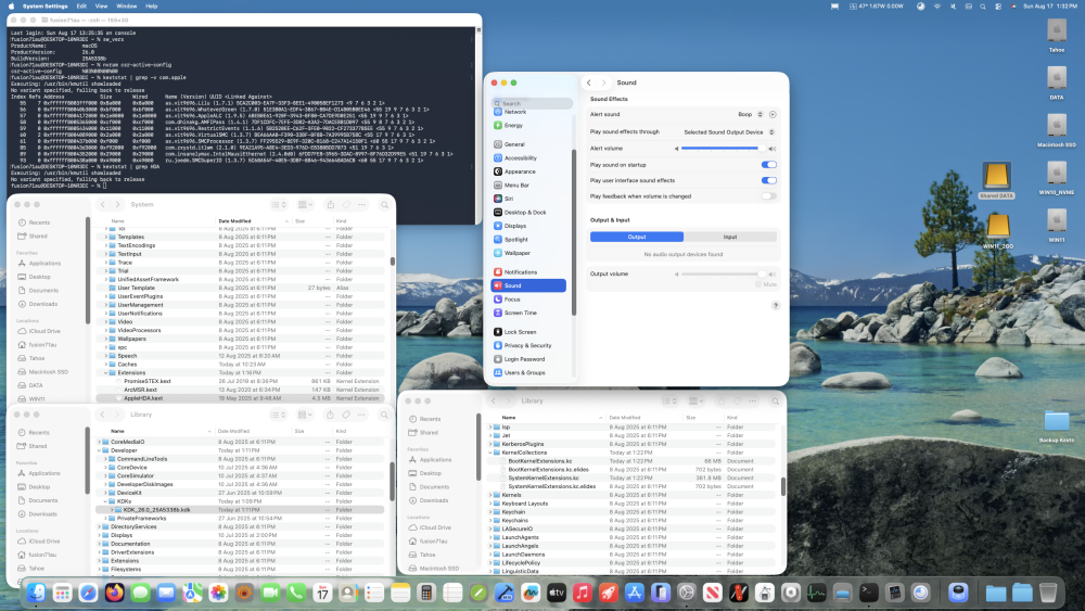 SLwithB6KDKinstallationrebootedbutnoaudio1.thumb.png.ee7cef4bcdda38c86c99ee0cbc1b9753.png