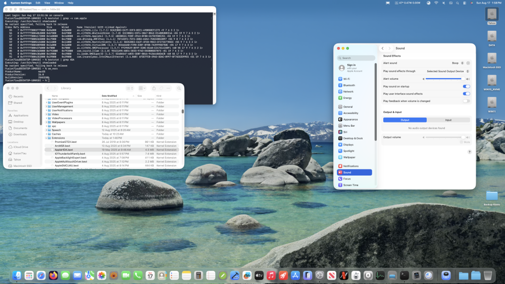 SLwithB6KDKinstallationrebootedbutnoaudio2.thumb.png.fe74d56023538196ac50b4874acf4b1d.png