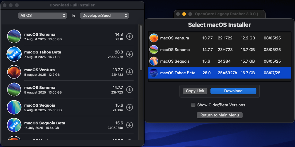 Screenshot2025-08-07alle19_49_41.png.fa5cabd6fe7e92ebff8e303d324a4acb.png