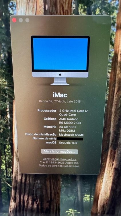 b29ece82-06d6-4c73-a221-b71b87509de9.thumb.jpg.bcade68cbf0c1083065c185600f68eb0.jpg