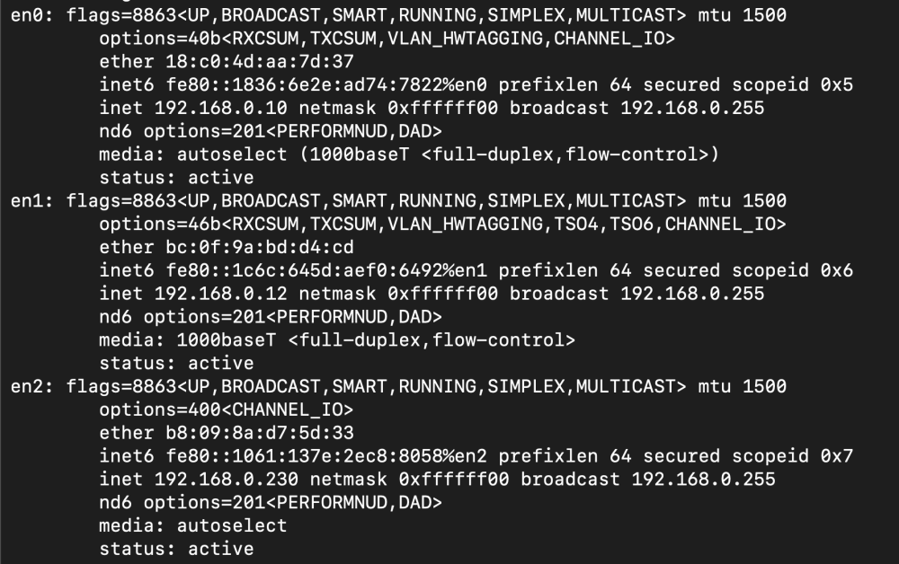 ifconfig.png