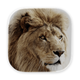 image.png.05588f43cd0b2a532c2e1475b0d8980d.png