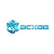 bcx88boats