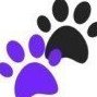 Love Your Pets123