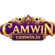 CAMWIN Game