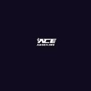 ACE ABSEILING PTY LTD