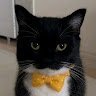 tabbycat888