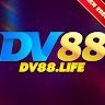 dv88 life